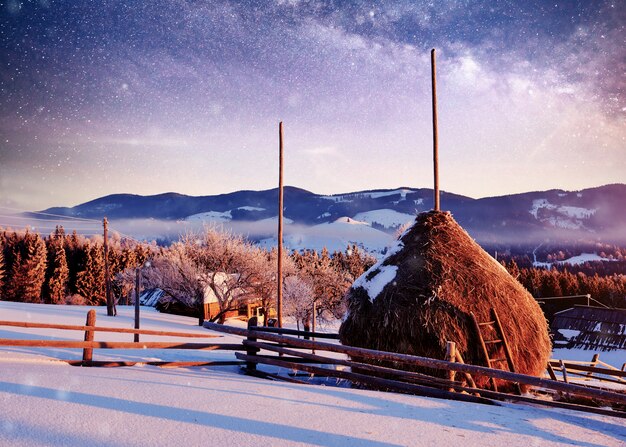 朝の日差しの中で素晴らしい山。カルパチア、ウクライナ、ヨーロッパ。