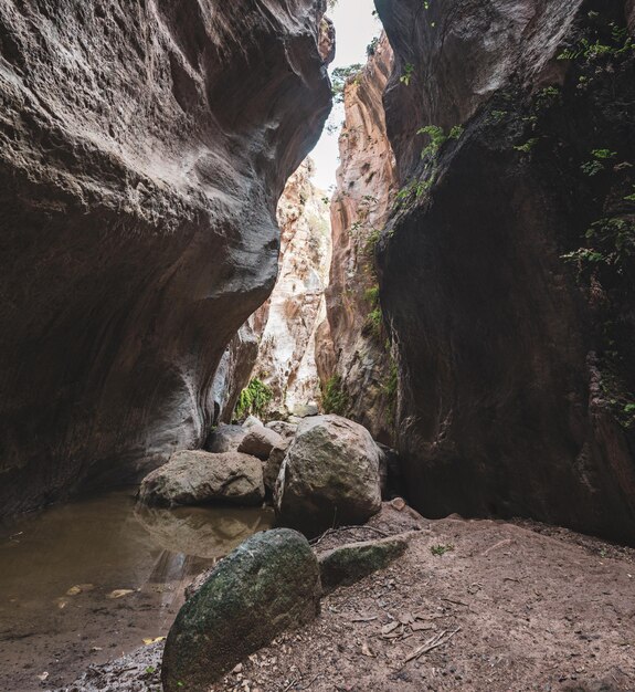 Amazing natural landscape in the Avakas canyon in Cyprus. National wild park with cliffs, mountains, rocks and trees. Deep natural valley to discovery for tourists and travelers