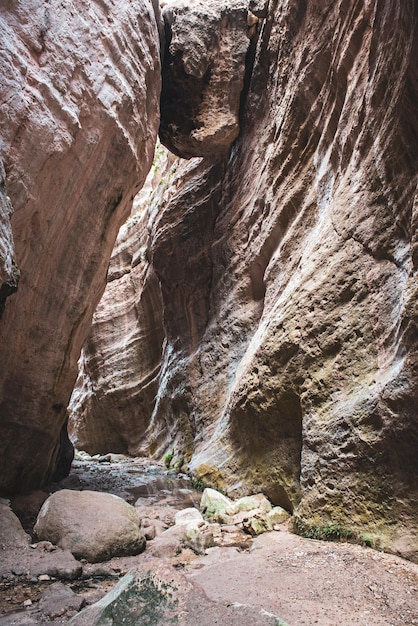 Amazing natural landscape in the Avakas canyon in Cyprus National wild park with cliffs mountains rocks and trees Deep natural valley to discovery for tourists and travelers