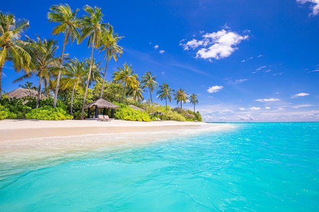 素晴らしい自然のビーチのヤシの木晴れた空の海のラグーン。夏休み旅行休日の壁紙