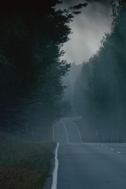 Amazing nature landscape with trees and asphalt road in morning fog. A remote road leading though the dense forest fog