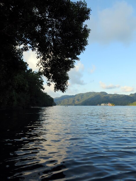 Amazing nature of Lembeh Strait, Indonesia.