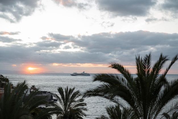 Amazing ocean view at sunrise with cruise ship and palm trees Travel by boat Madeira Island