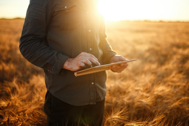 インターネットを使用してタブレットを保持している小麦畑の進捗状況をチェックする農家の素晴らしい写真