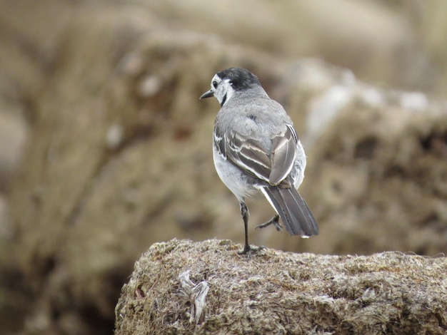 Amazing places and beautiful birds