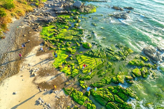 Foto incredibile di roccia e muschio alla spiaggia di co thachtuy phong binh thuan provincia del vietnam