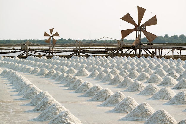 Amazing Salt Farm with Hand Harvested Raw Salt Piles in Petchaburi Province of Thailand