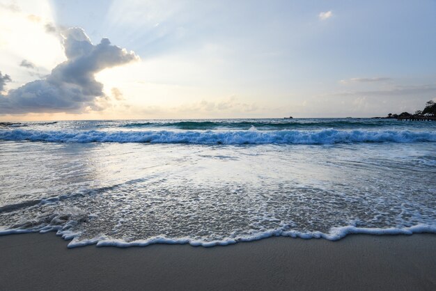 Amazing sandy tropical beach