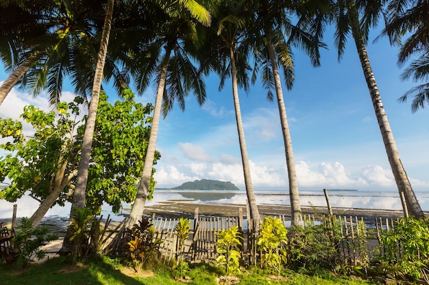 Incredibile vista panoramica della baia del mare e delle isole di montagna, palawan, filippine