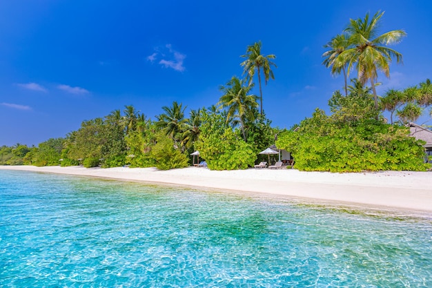Amazing summer beach panorama Exotic island coastline with palm trees and white sand blue sea bay