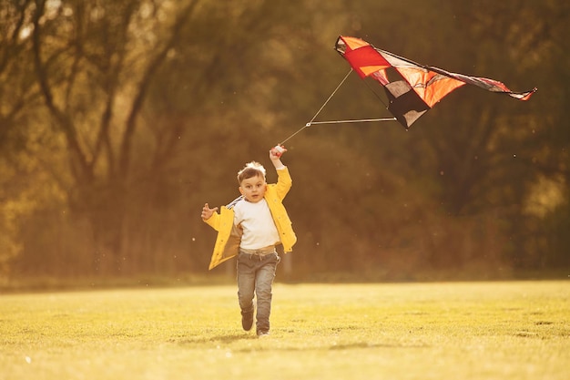 Photo amazing sunlight little boy is playing with a kite on the field at summer time