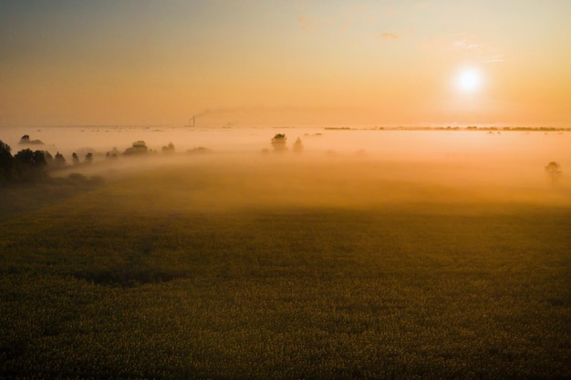 Amazing sunrise in the countryside over forests and fields in Ukraine