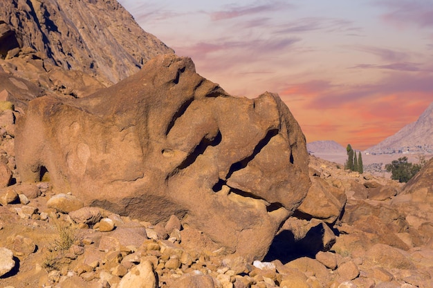 Amazing Sunrise at Sinai Mountain Beautiful dawn in Egypt Beautiful view from the mountain