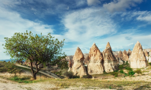 Amazing sunset over Cappadocia. Turkey. Europe