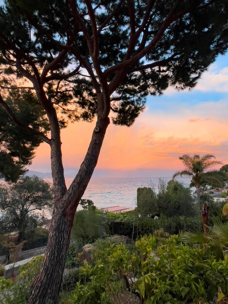 Amazing sunset Red sunset Blue sky French riviera