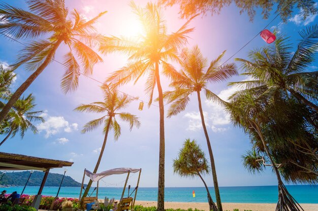 Удивительный тропический райский пляж с бассейнами и кокосовыми пальмами