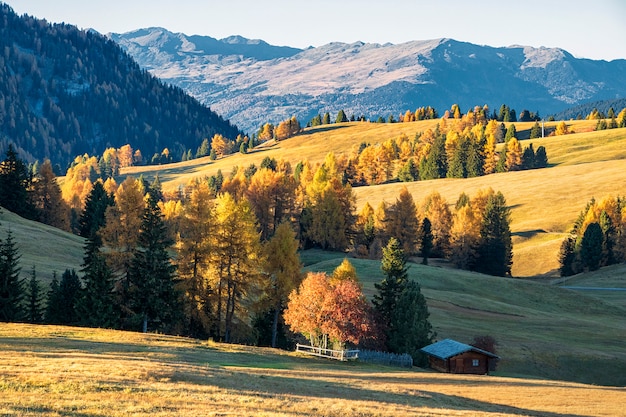 Amazing view in Alpe di Siusi. autumn landscape in Italian Dolomites. South Tyrol. Italy. Europe