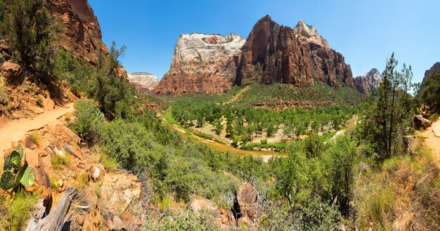 Amazing view of canyon at Zion National Park