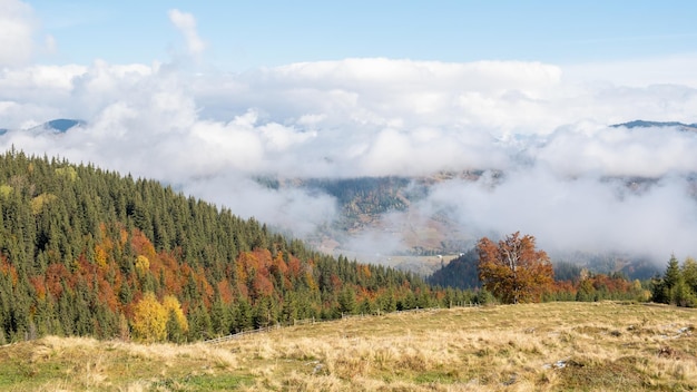 Amazing view from peak to mountains in clouds at sunrise in autumn Beautiful landscape with Ukrainian Carpathians forest sky