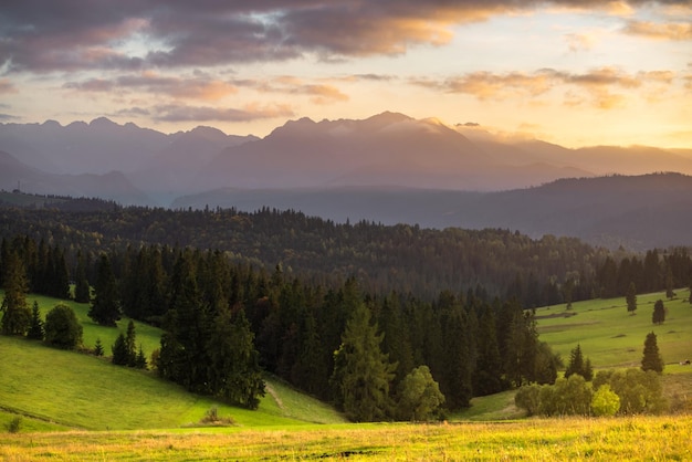 Amazing view on the Slovakia nature. Relax and leisure time.