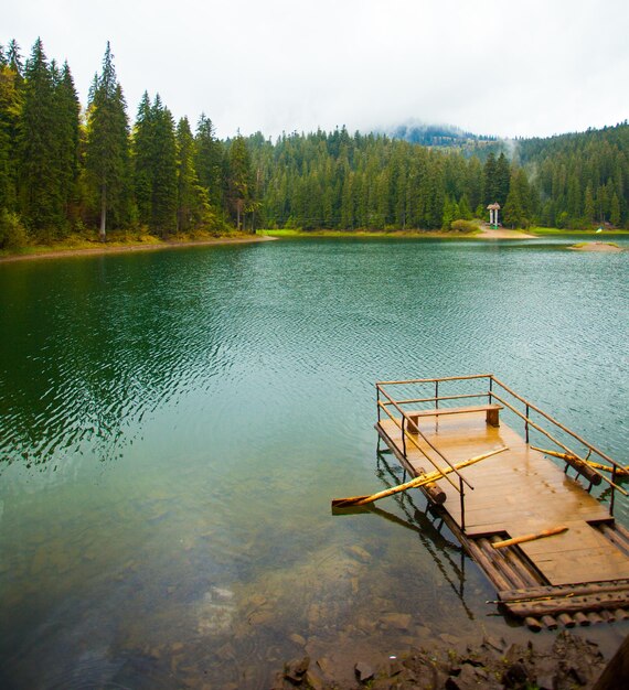 Amazing view of summer landscape with clear lake and forest around it