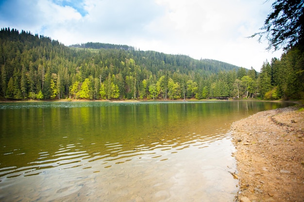 Amazing view of summer landscape with clear lake and forest around it