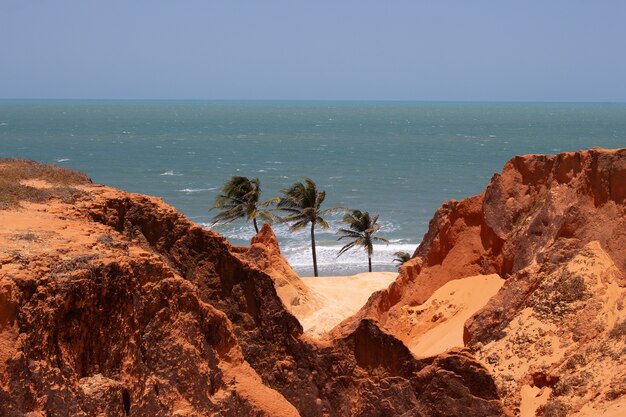 Foto splendida vista dei tre alberi di cocco vicino alla spiaggia in una giornata di sole