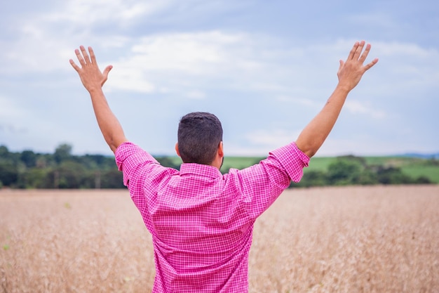 Amazing view with man standing with his back to the camera with open arms thanking for the wheat harvest The farmer checks the natural organic crop