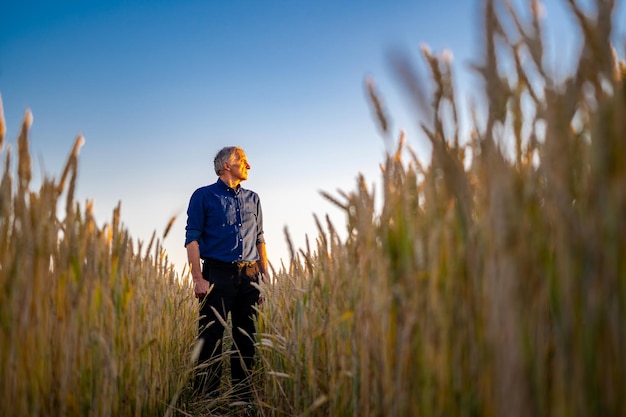 Amazing view with man who check natural organic harvest in the sunset light View from below Selective focus