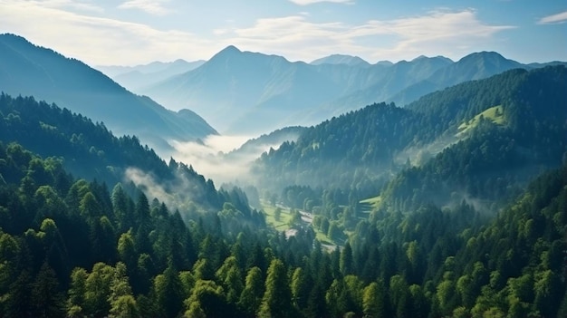 Amazing wild nature view of deep evergreen forest landscape on sunlight at middle of summer