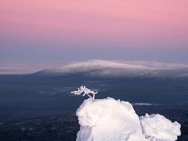 풍부한 보라색 아침 하늘이 있는 원추형 언덕의 배경에 눈 덮인 나뭇가지가 있는 놀라운 선 보기 눈 덮인 겨울 언덕 위에 놀라운 차가운 분홍색 새벽 신비로운 북극 동화