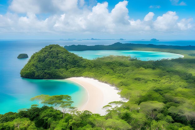 Premium AI Image | Amazon rainforest landscape Forest Forest top view