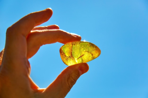 Photo amber fossil resin