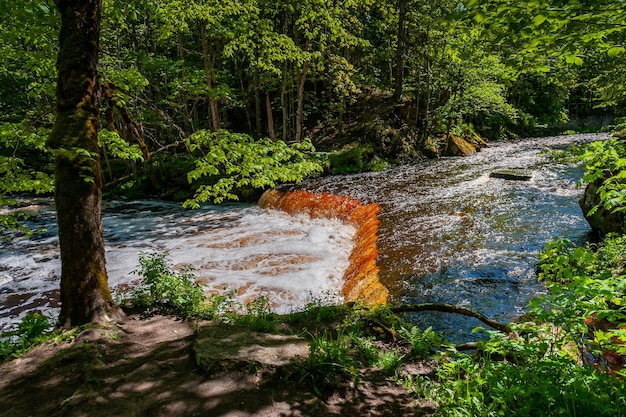 Фото Янтарный водопад nommeveski каскад на реке valgejogi в национальном парке лахемаа эстония