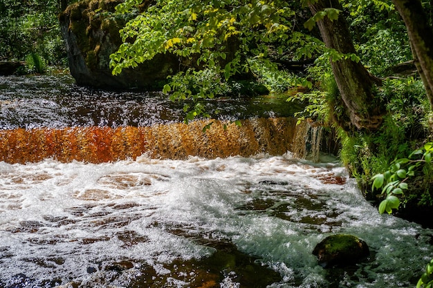 Cascata d'ambra cascata nommeveski sul fiume valgejogi nel parco nazionale di lahemaa