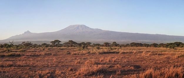 Amboseli nationaal park panorama met de berg Kilimanjaro op de achtergrond in ochtendlicht.