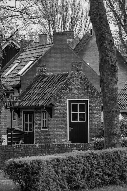 Photo ameland island in the netherlands