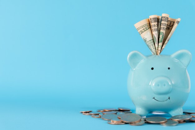 Photo america dollars banknotes money into pastel blue piggy bank on blue background.