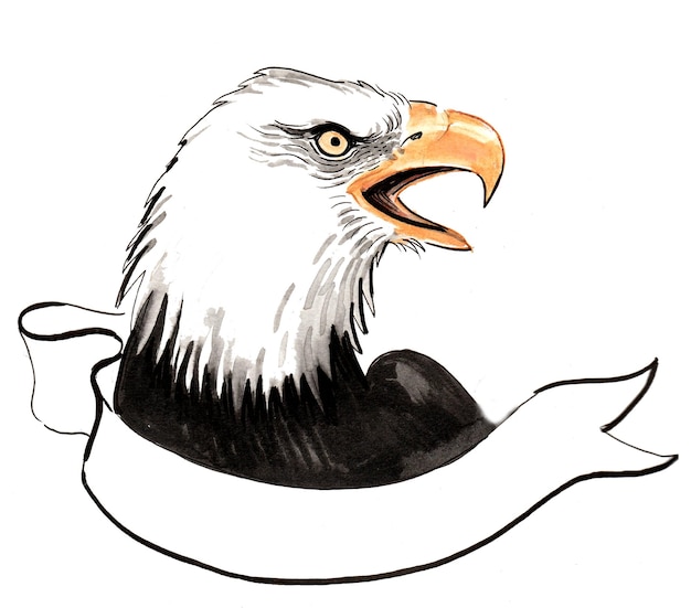 Photo american bald eagle and blank banner. ink and watercolor drawing