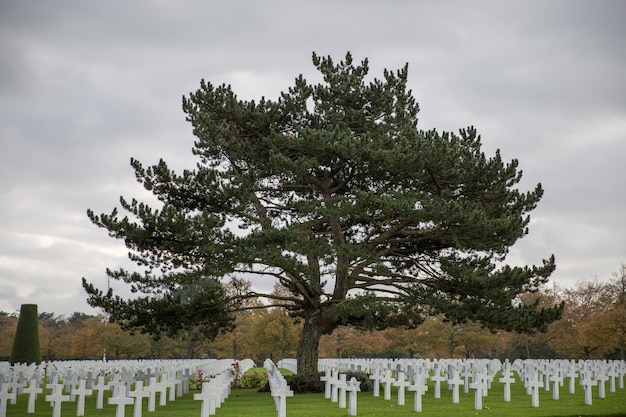 American cemetery in normandy with the dead of dday