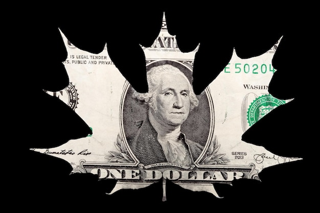 American dollar leaf shape isolated on black background