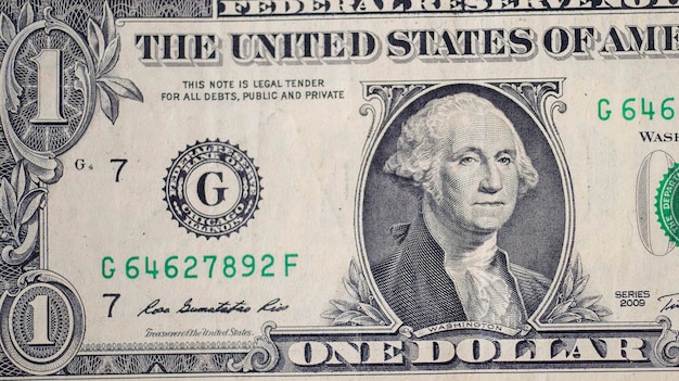 미국 돈 조각의 미국 달러 근접 촬영