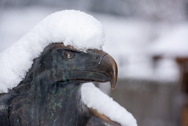 American Eagle copper statue covered by snow