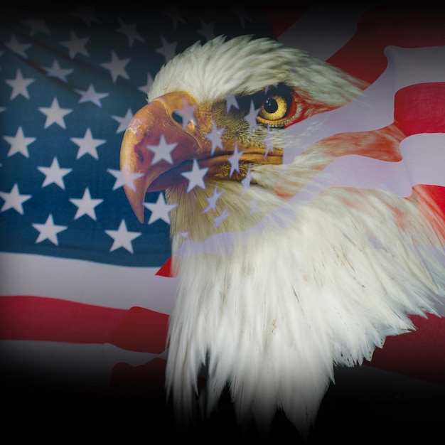 アメリカン・イーグル