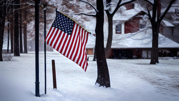 雪の上のアメリカの国旗