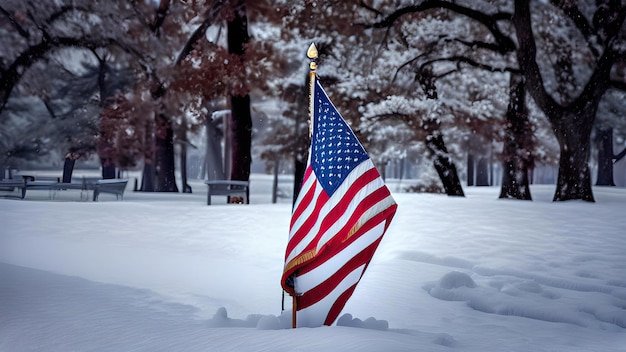 雪の上のアメリカの国旗