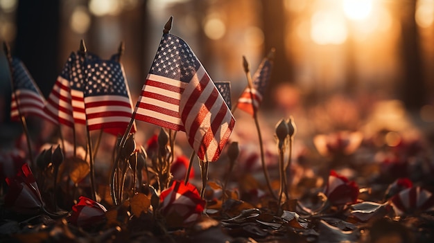 American Flags Planted In The Ground At A Background