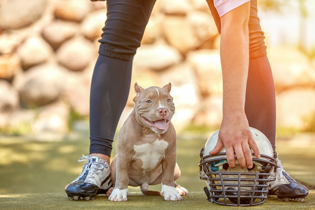 公園でカメラにポーズ犬とアメリカンフットボール選手。