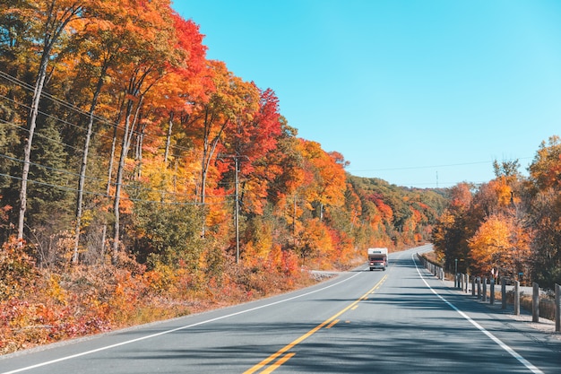 Фото Американское шоссе через лес осенью