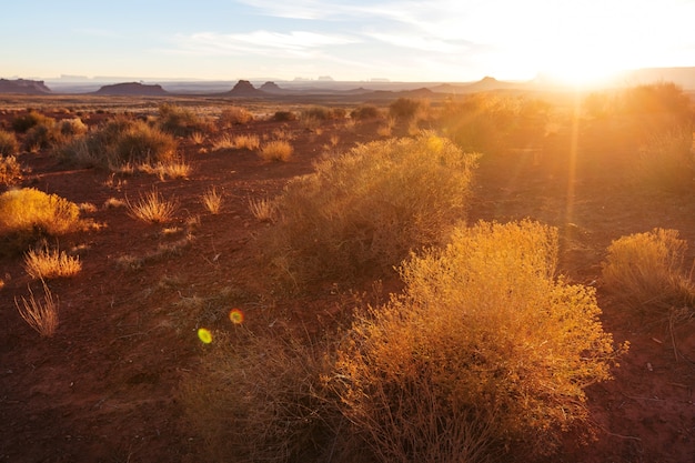 アメリカの風景-大草原と崖、ユタ州、アメリカ。